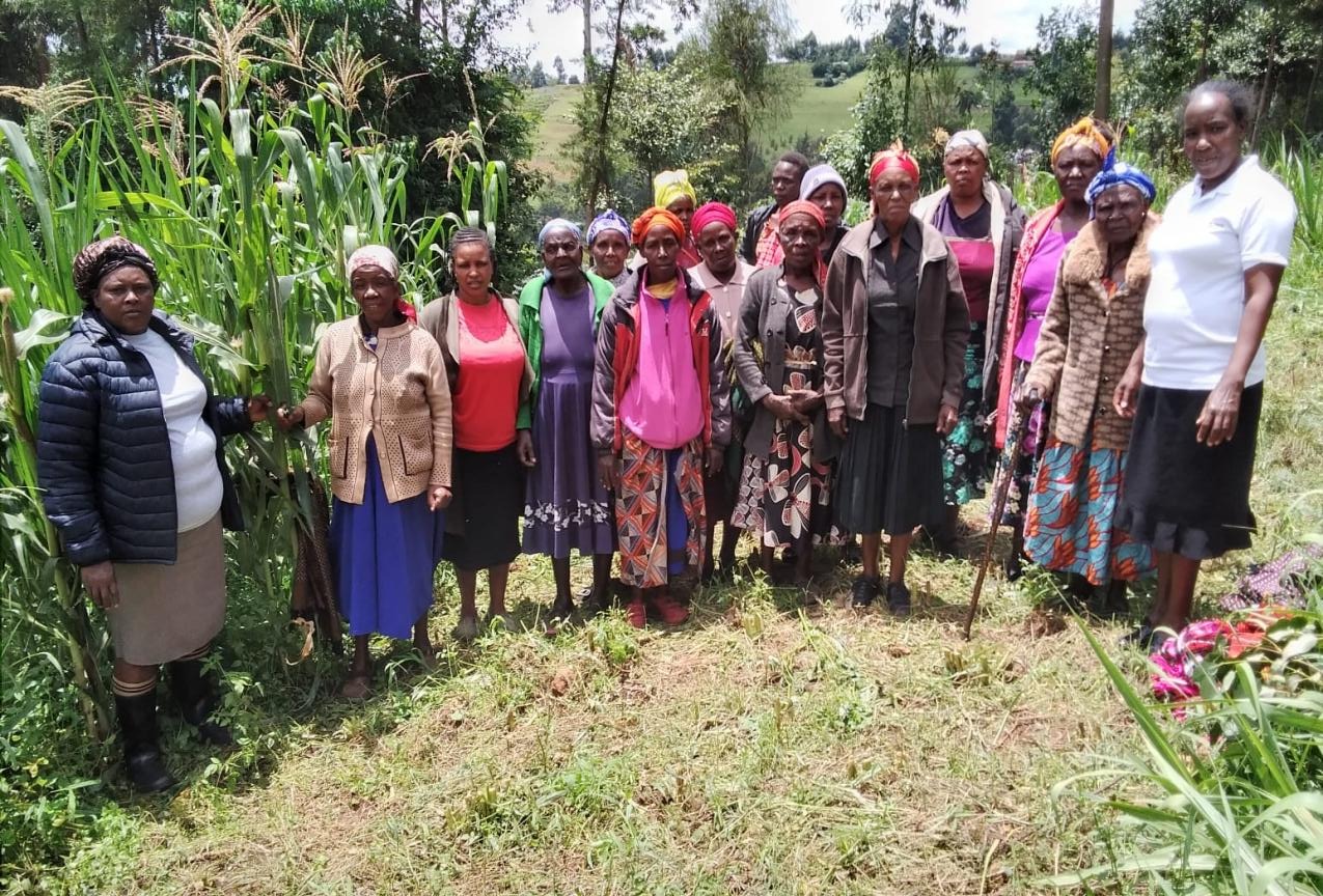 A year of growth for Mema Widows Self-Help Group